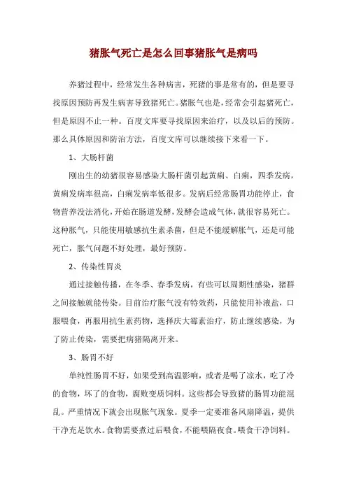 猪胀气死亡是怎么回事 猪胀气是病吗