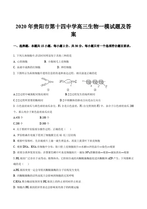 2020年贵阳市第十四中学高三生物一模试题及答案