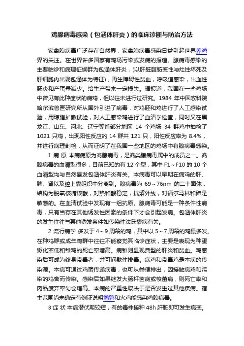 鸡腺病毒感染（包涵体肝炎）的临床诊断与防治方法