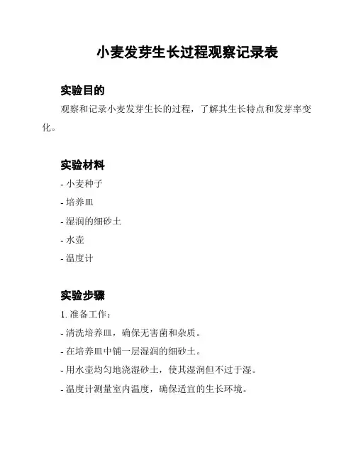 小麦发芽生长过程观察记录表
