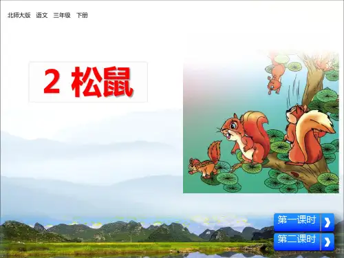 《松鼠》PPT下载【优秀课件PPT】
