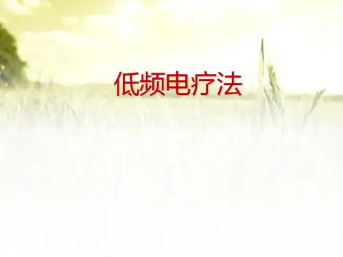低频电疗法 PPT