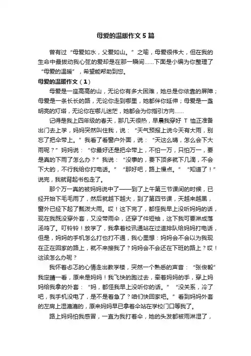 母爱的温暖作文5篇
