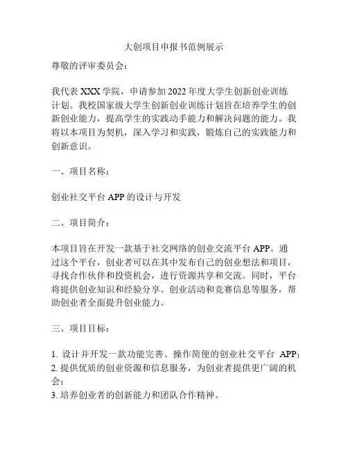 大创项目申报书范例展示