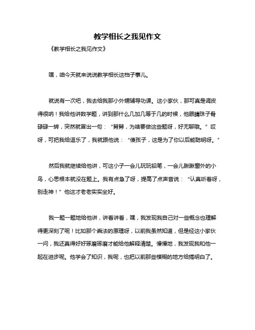 教学相长之我见作文