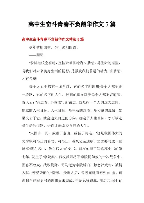 高中生奋斗青春不负韶华作文5篇