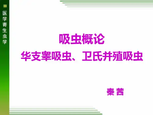 吸虫概论、肝吸虫和肺吸虫