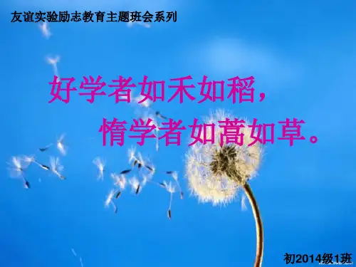勤能补拙(初2014级1班)主题班会ppt课件