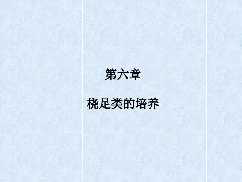 第七章 桡足类的培养