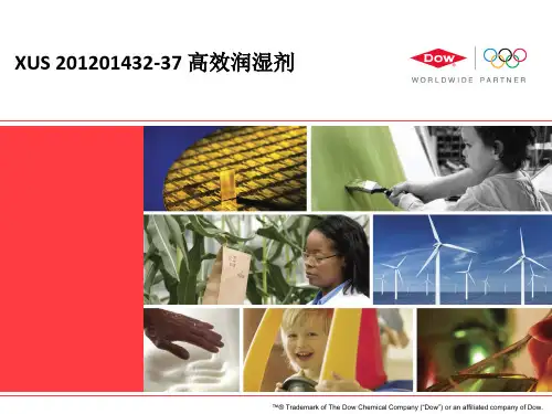 水性涂料高效润湿剂-XUS(商品名HW-1000)
