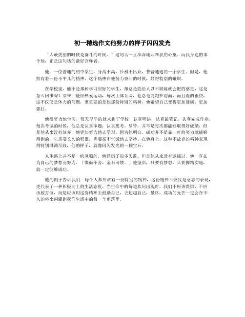 初一精选作文他努力的样子闪闪发光