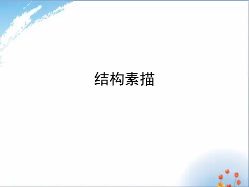 《结构素描》优秀课件PPT
