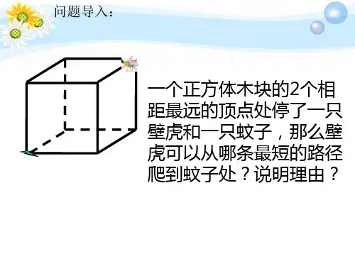 七年级数学上册《5.3展开与折叠》课件一 苏科版