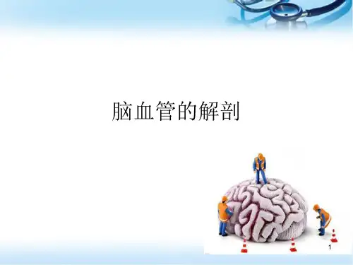 (医学课件)脑血管的解剖PPT幻灯片