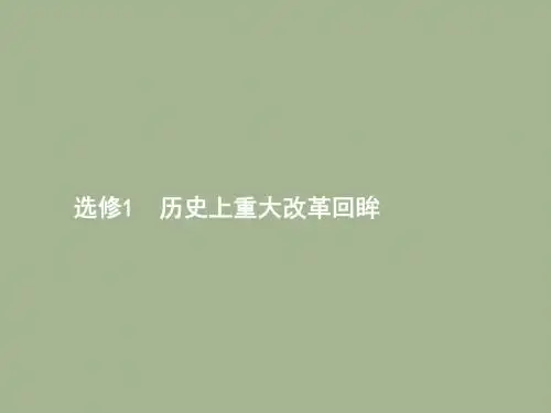 2019届岳麓版高考历史大一轮精品复习课件：选修1.1
