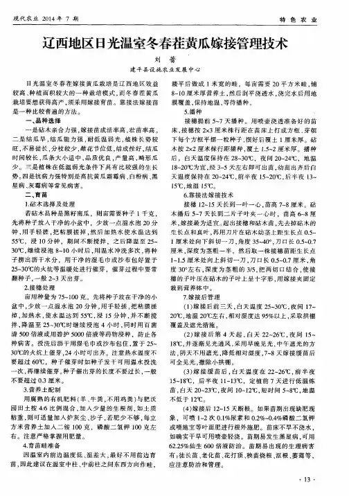 辽西地区日光温室冬春茬黄瓜嫁接管理技术