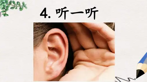 【推荐】精选一年级科学上册第4课听一听课件1青岛版六三制