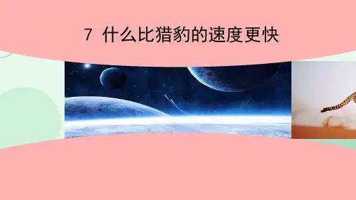 最新统编版语文五年级上册《什么比猎豹的速度更快》精品教学课件