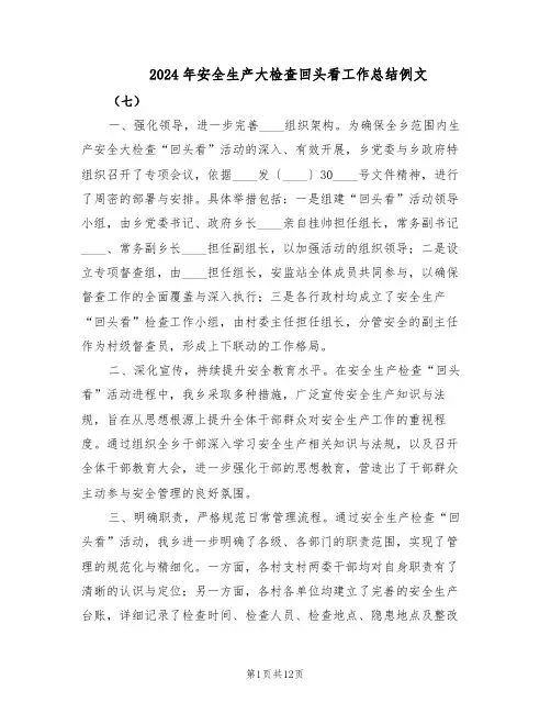 2024年安全生产大检查回头看工作总结例文(5篇)