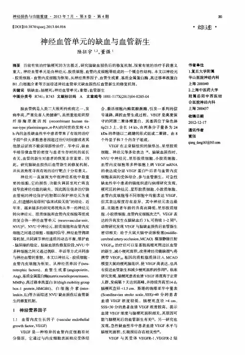 神经血管单元的缺血与血管新生