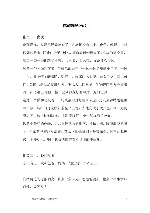 描写夜晚的作文