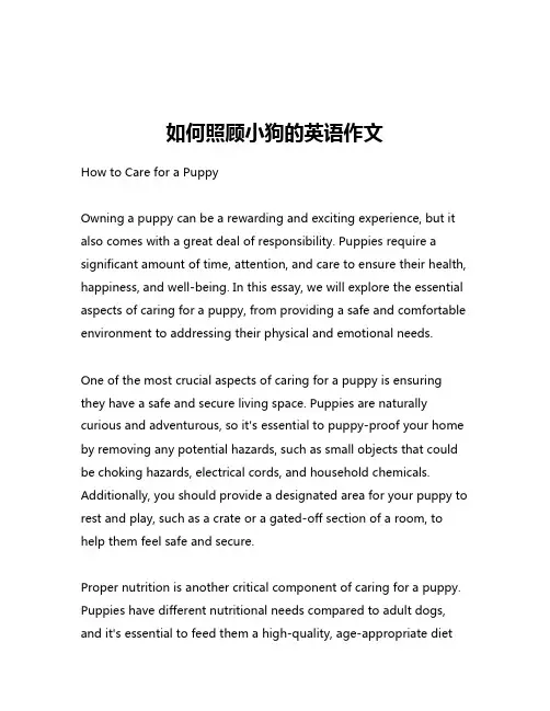 如何照顾小狗的英语作文