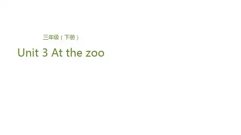 三年级下册英语课件-Unit 3 At the zooLesson 1 动物园里的动物们 人教(PEP)(共22张PPT)