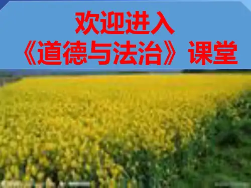 人教版(部编)七年级下册道德与法治： 第一单元 青春时光 第一课 青春的邀约 成长的不