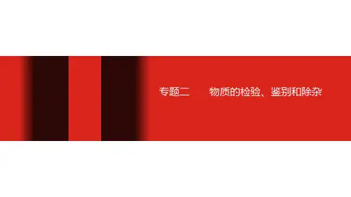 中考化学第二轮专题复习课件-专题二物质的检验、鉴别和除杂