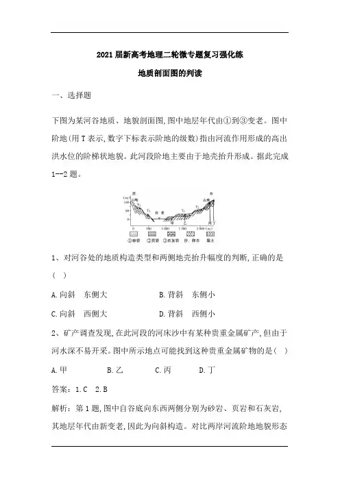 2021届新高考地理二轮微专题复习强化练：地质剖面图的判读(含解析)