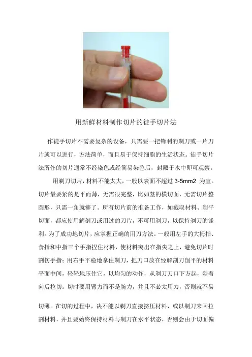 用新鲜材料制作切片的徒手切片法(精)