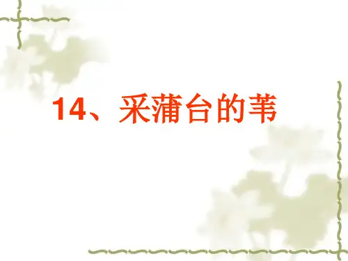 采蒲台的苇课件PPT