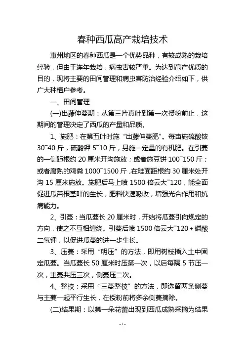春种西瓜高产栽培技术