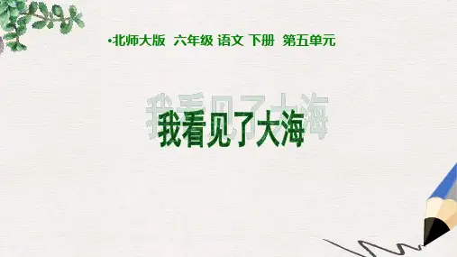 北师大版小学六年级语文下册《我看见了大海》(1)精品ppt课件
