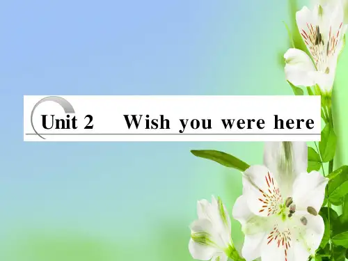 牛津译林版高中英语必修2高考配套教学课件Unit 2 Wish you were here译林版必修2课件ppt