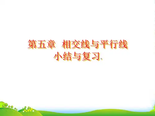人教版七年级数学下册第五章《小结与复习》公开课课件