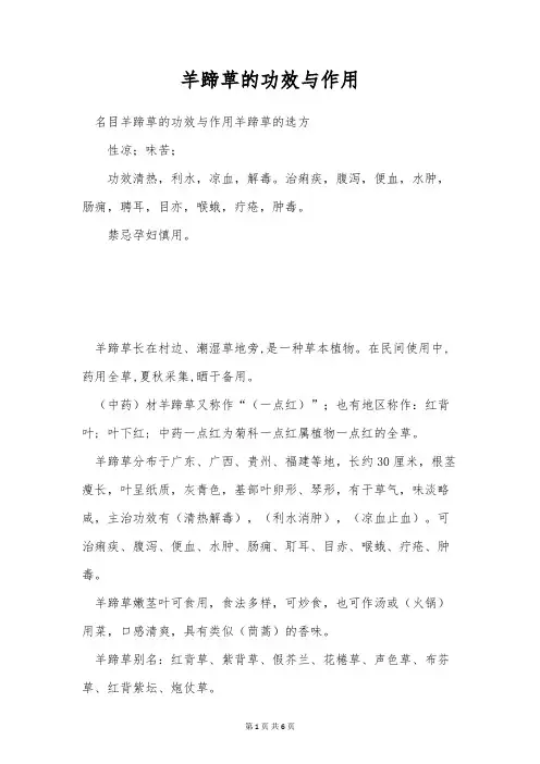 羊蹄草的功效与作用