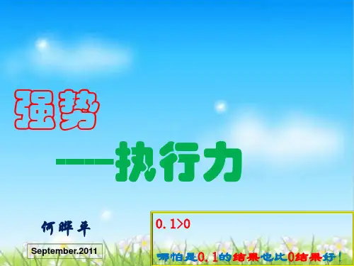 如何打造强势执行力(ppt 30页)