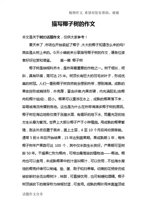 描写椰子树的作文
