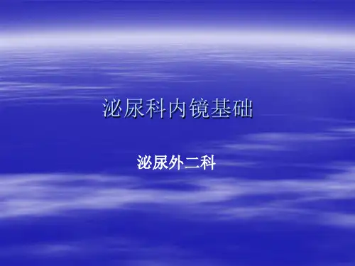 泌尿科内镜基础