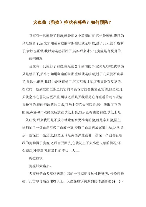 犬瘟热(狗瘟)症状有哪些？如何预防？