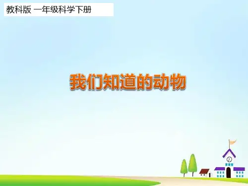教科版一年级科学下册第二单元课件