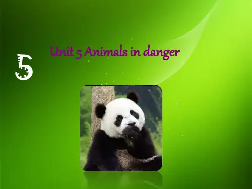六上英语unit 5《animals in danger》课件