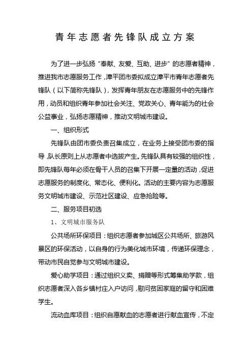 青年志愿者先锋队成立方案