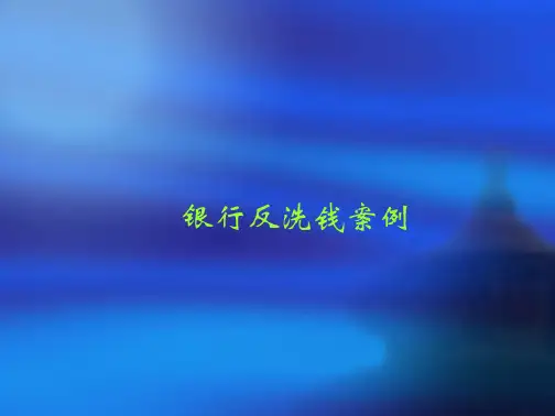 银行反洗钱培训案例