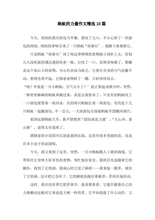 蚂蚁的力量作文精选10篇精选