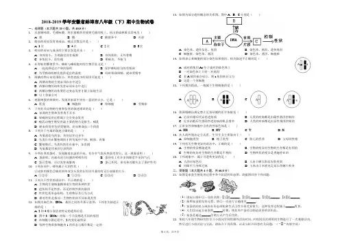 2018-2019学年安徽省蚌埠市八年级(下)期中生物试卷(解析版)