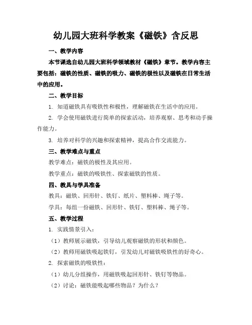 幼儿园大班科学教案《磁铁》含反思