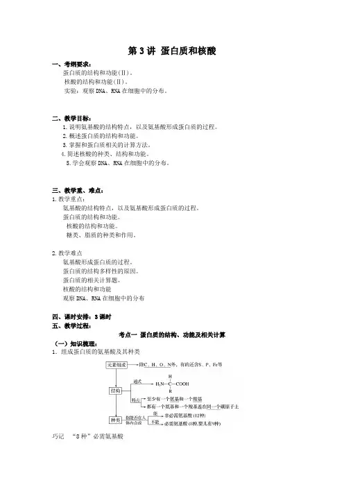 (高三生物核心素养教案) 蛋白质和核酸