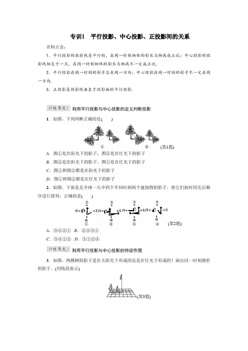 专训1 平行投影、中心投影、正投影间的关系(3)